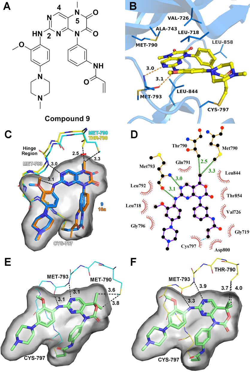 Structure-Guided Design of Potent and Mutant-Selective EGFR L858R/T790M Inhibitors